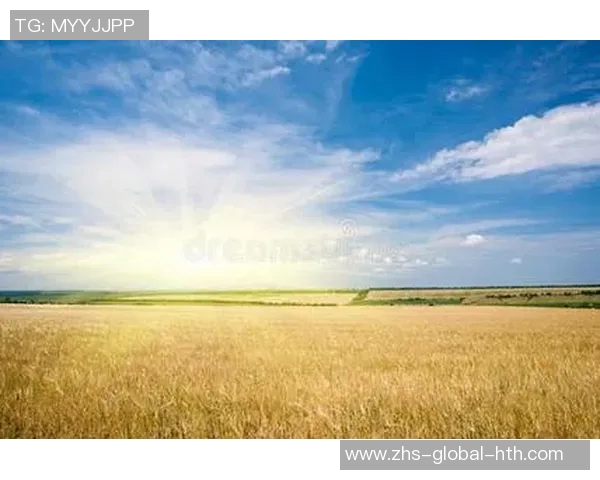 河床与麦田的对话探索自然与农业的和谐共生之美